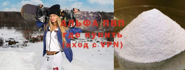 прущие грибы Тавда