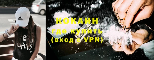 дурь Сясьстрой
