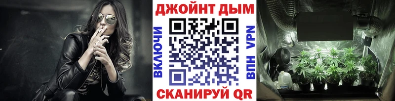 Купить  Березники  Марихуана семена 